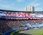 terror-tricolor-a-torcida-organizada-do-bahia-2