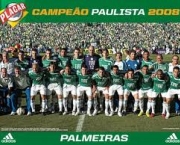 time-do-palmeiras-10