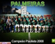 time-do-palmeiras-9