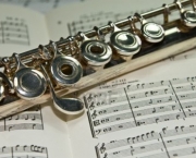 Tipos de Flauta (1)