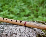 Tipos de Flauta (2)