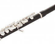 Tipos de Flauta (3)