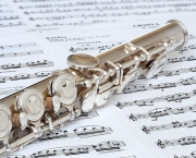 Tipos de Flauta (5)