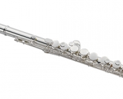 Tipos de Flauta (10)