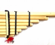 A Flauta Peruana (18)