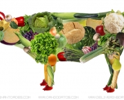 Tipos de Vegetariano (2)