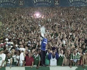torcida-do-palmeiras-10