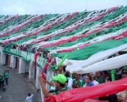 torcida-do-palmeiras-12
