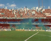 torcida-do-palmeiras-13