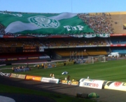 torcida-do-palmeiras-15