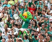 torcida-do-palmeiras-3