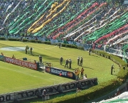 torcida-do-palmeiras-5