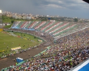 torcida-do-palmeiras-6