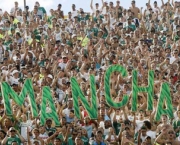 torcida-do-palmeiras-7