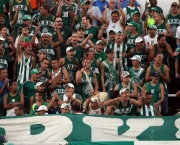 torcida-do-palmeiras-9