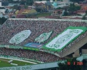 torcida-jovem-guarani-12