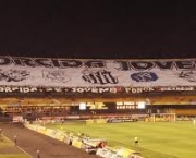 torcida-jovem-guarani-14