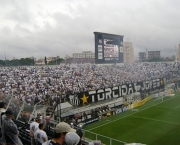 torcida-jovem-santos-2