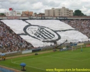 torcida-jovem-santos-4