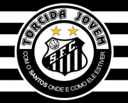 torcida-jovem-santos-8