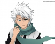 Toushirou Hitsugaya do Bleach (3).jpg