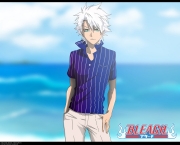 Toushirou Hitsugaya do Bleach (10).jpg