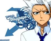 toushirou-hitsugaya-do-bleach-8