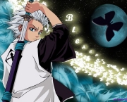 toushirou-hitsugaya-do-bleach-9