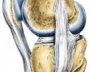 tratamentos-da-osteoartrose-de-joelho13