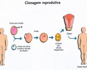 tudo-sobre-clonagem-4