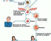 tudo-sobre-clonagem-6