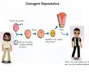 tudo-sobre-clonagem-3