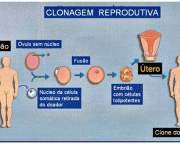 tudo-sobre-clonagem-5