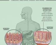 tudo-sobre-intolerancia-a-gluten-4