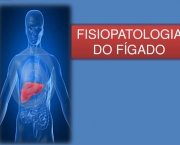 Tudo Sobre O Seu Figado- (12)