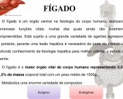 Tudo Sobre O Seu Figado- (13)