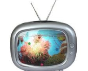 tv-brazuka-2