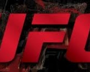 ufc-store-brasil-15