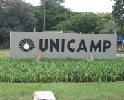 unicamp-02
