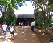 unicamp-11