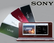 foto-vaio-p-07