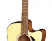 violoes-takamine-5