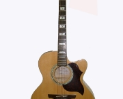 violoes-takamine-7