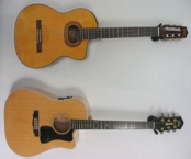 violoes-takamine-8