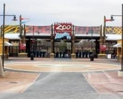 zoologico-aquario-de-columbus-eua-1