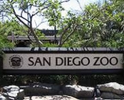 zoologico-de-san-diego-eua-3