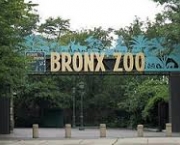 zoologico-do-bronx-eua-1