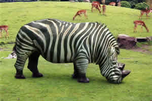 Rinoceronte-Zebra