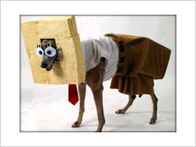 Cachorro Bob Esponja