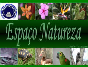 Espaço Natureza